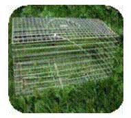 General purpose trap