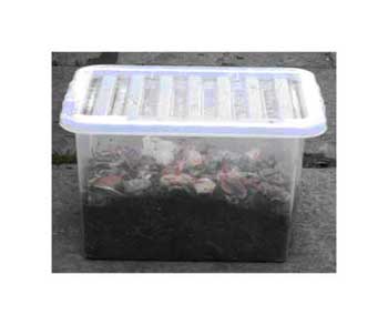 This is ideal to start of breeding your worms. For use in the home or at school